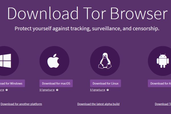 Рабочая ссылка кракен в тор