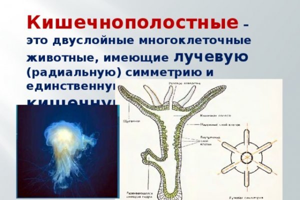 Кракен точка ат