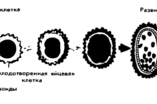 Кракен ссылка оригинал